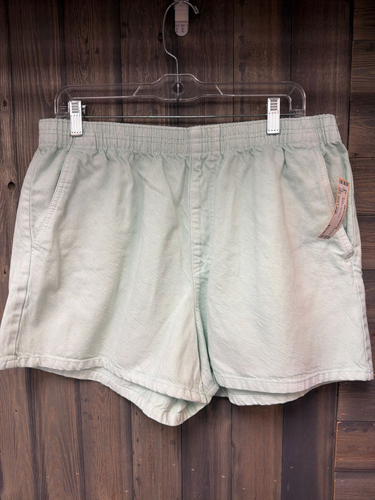 Women's Size Large Universal Thread Mint Green Shorts