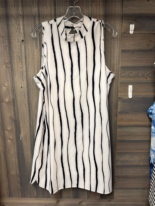 Women's Size Large mud pie White Dress